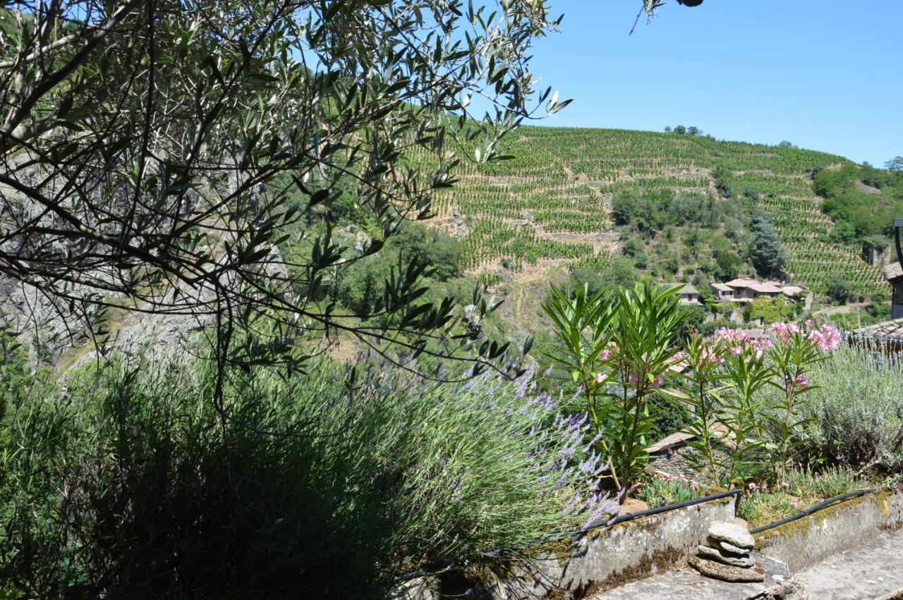 Malleval La Maison De Marthe מראה חיצוני תמונה